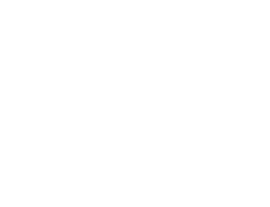 PCI DSS